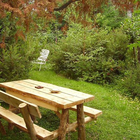 Hosteria Brisas Del Cerro บียาลาอังกอสตูรา ภายนอก รูปภาพ